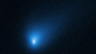 comet 2I/Borisov