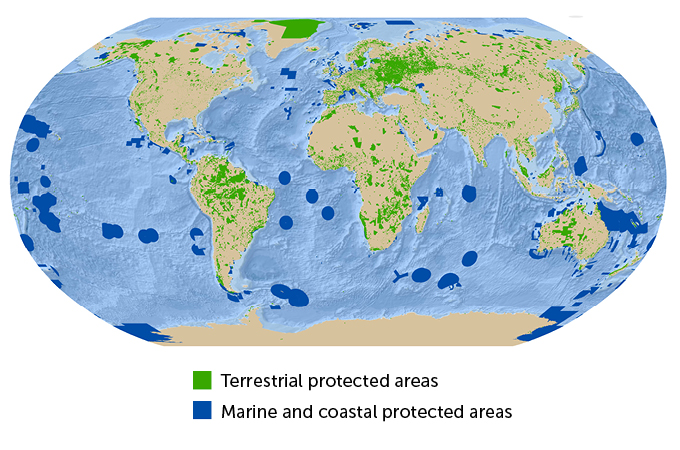 Areas under some form of protection in 2020