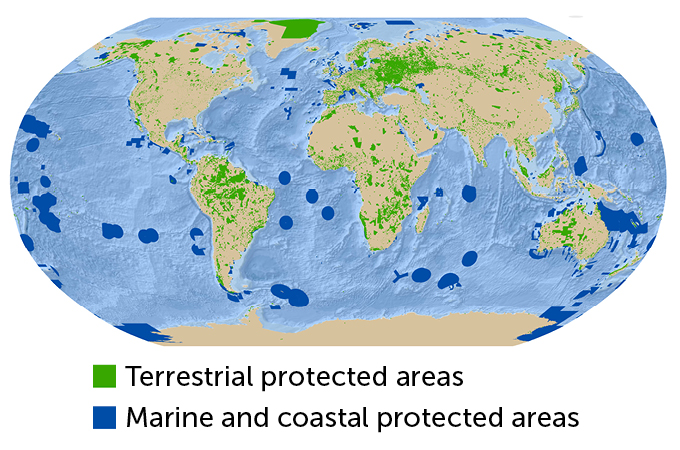 Areas under some form of protection in 2020