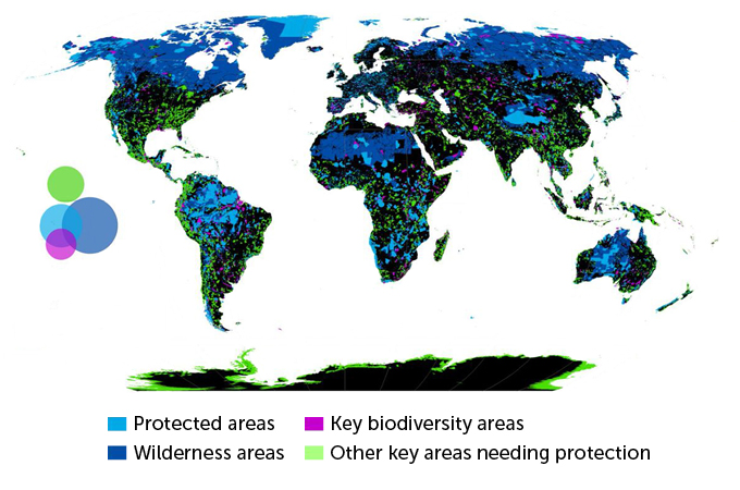 Global map of protected areas