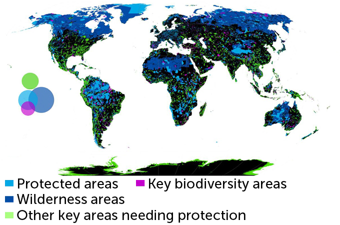 Global map of protected areas