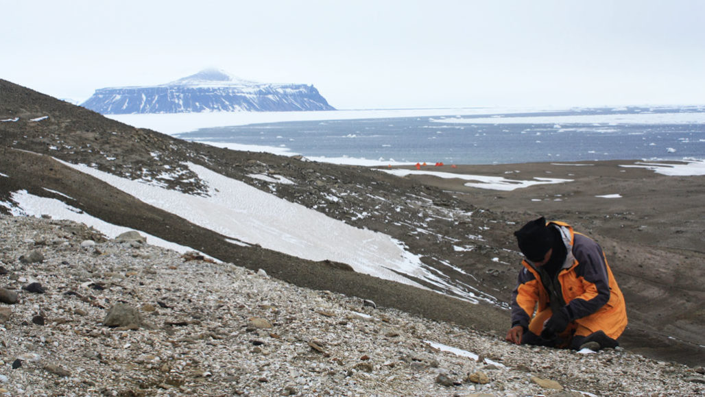 Seymour Island landscape