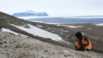 Seymour Island landscape