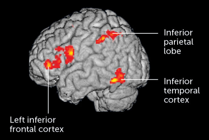 fMRI brain reading
