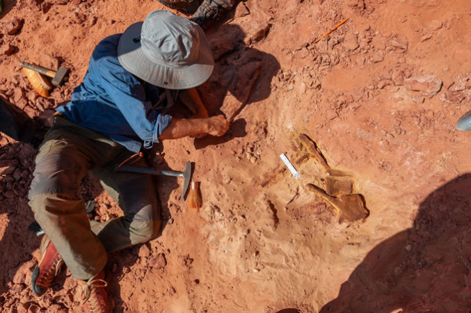 paleontologist sitting on rocky ground