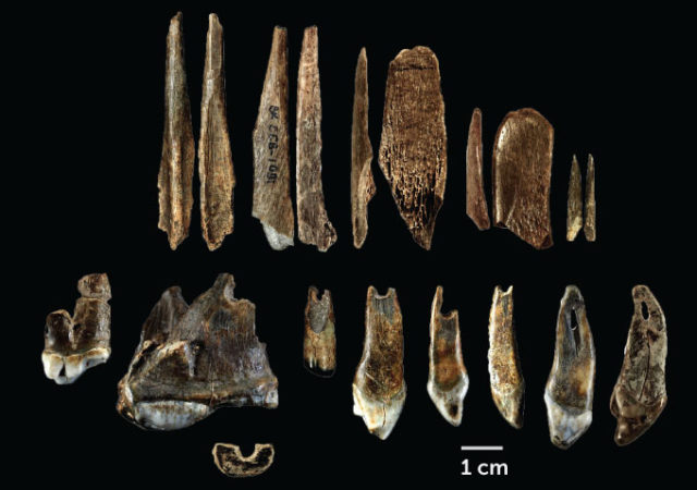 photo of ancient tools and pendants