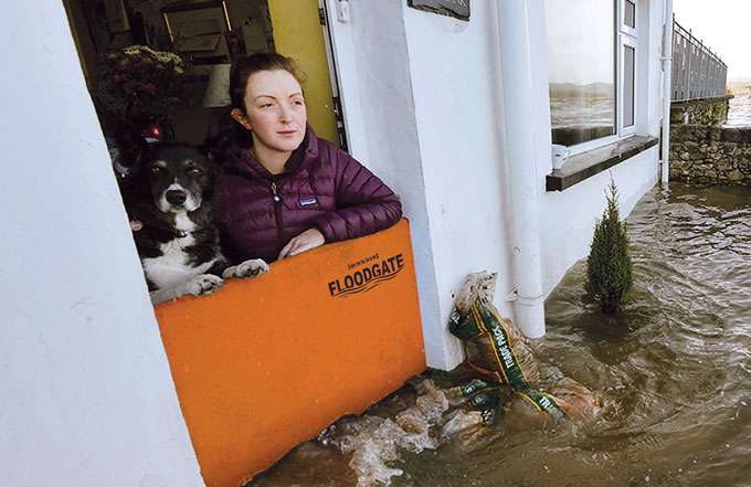 Window flood barrier