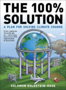 cover of The 100% Solution