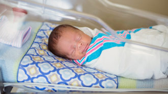 newborn baby