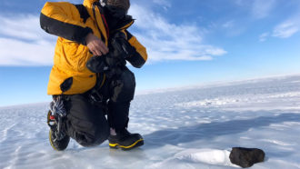 meteorite in Antarctica