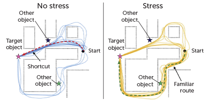 drawing of map of virtual town used in experiment