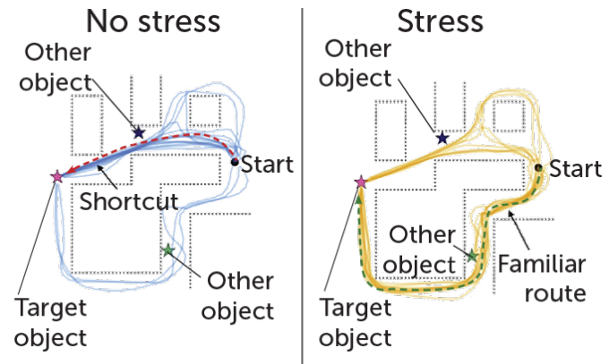 drawing of map of virtual town used in experiment