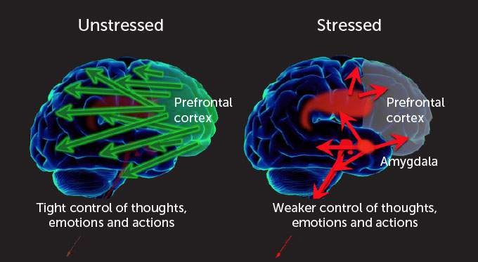 Pandemic Effects of Stress