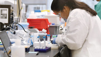 woman working in a lab