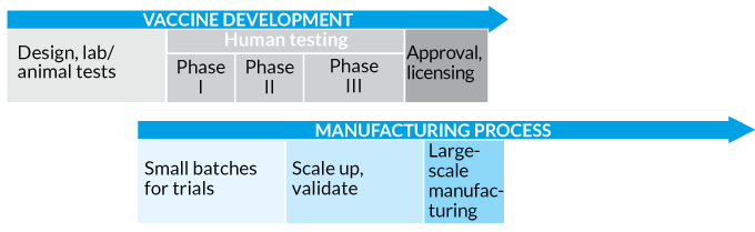 graphic illustrating traditional timeline of vaccine development