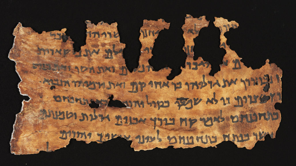 The Dead Sea Scrolls Contain Genetic Clues To Their Origins