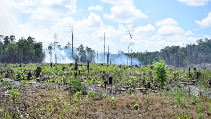 Kalimantan