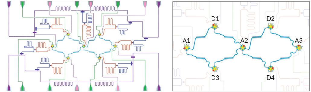 Logical qubit