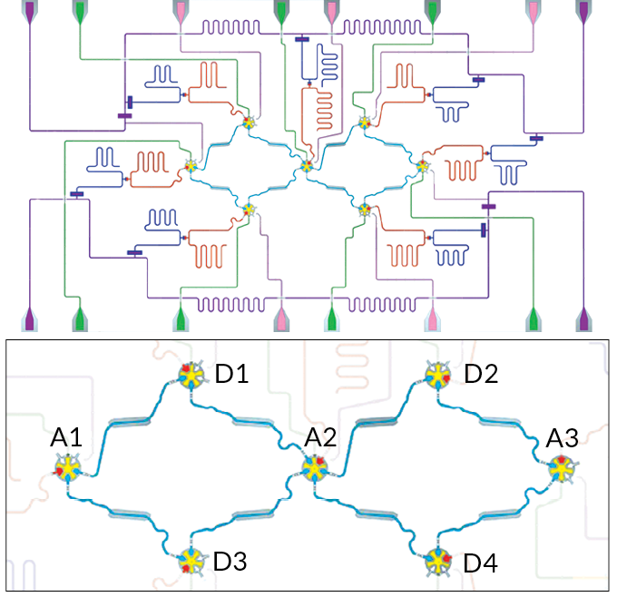 Logical qubit