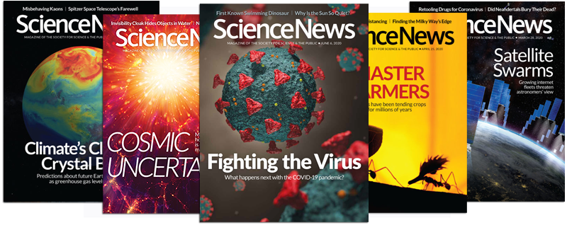 2020 Science News covers