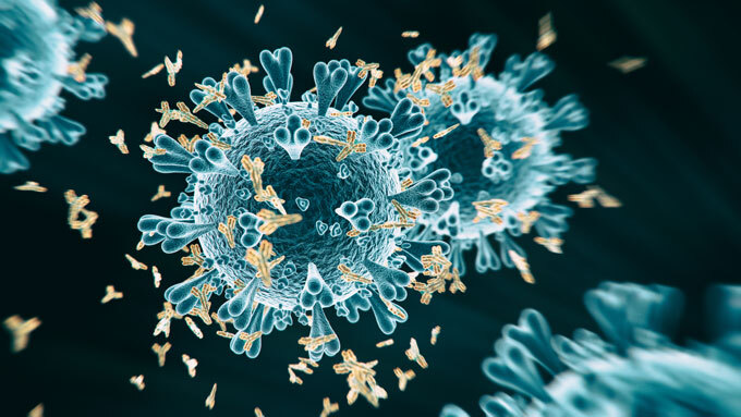 coronavirus and antibodies illustration