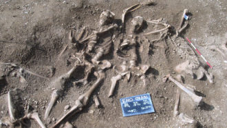 skeletons found in mass grave in England