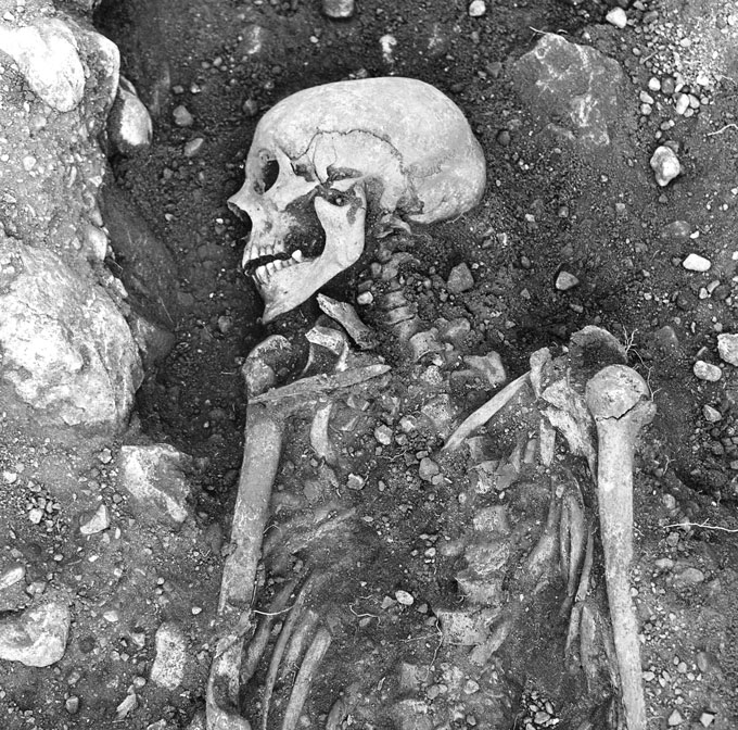 Viking skeleton found in Sweden