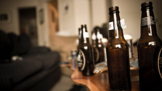 bottles of beer
