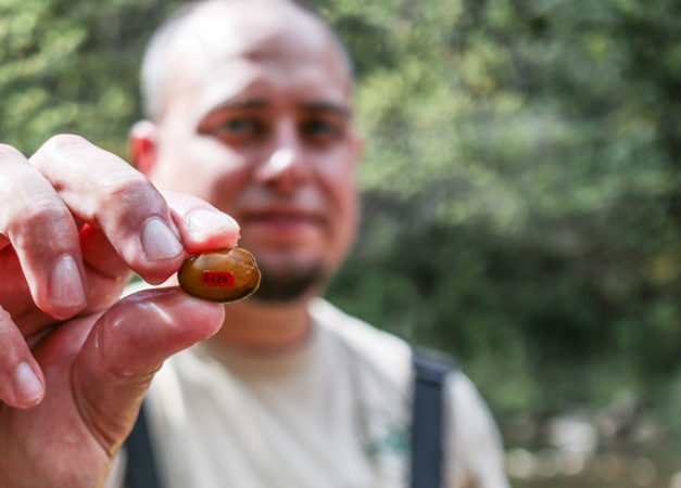 Tim Lane met een mossel