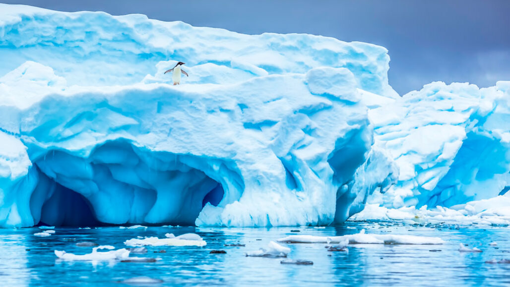 antarctic ice