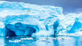 antarctic ice