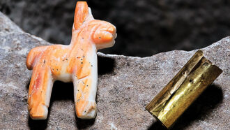 Inca ritual offering llama figurine