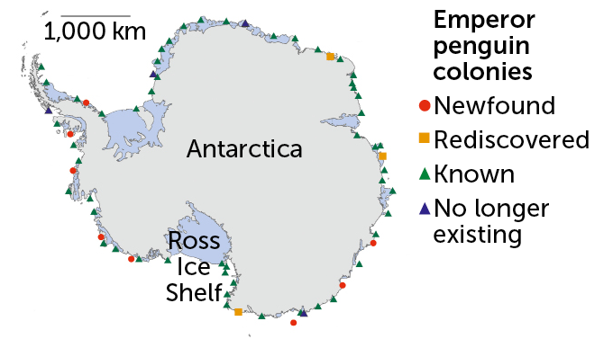 Antarctic emperor penguin colonies