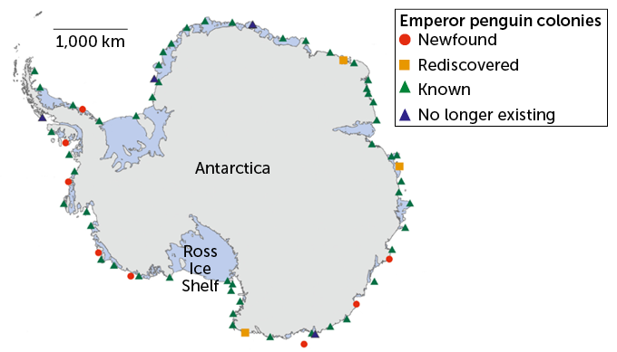 Antarctic emperor penguin colonies