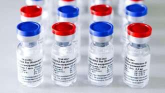 Russia coronavirus vaccine