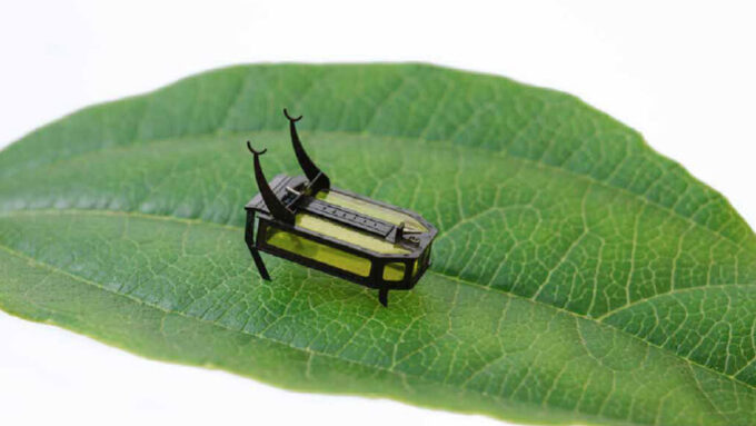 robotic beetle on a leaf