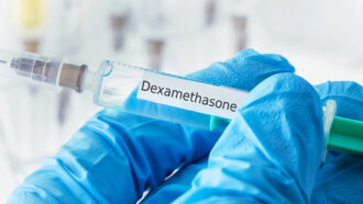dexamethasone steroid in syringe