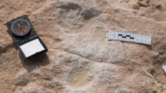 Ancient human footprints from the Arabian Peninsula