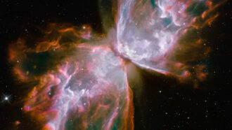 NGC 6302 planetary nebula