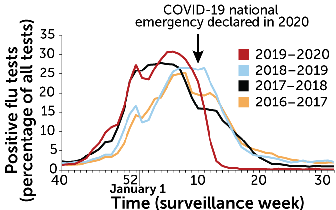 Graph of percent positive flu tests in the United States