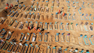 Manaus cemetary