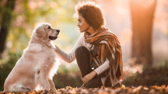 dog looking at human