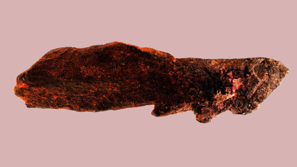 ancient bone tool