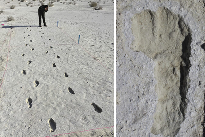 fossilized hυмan footprints