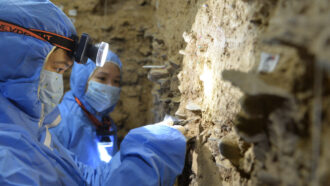 scientists collecting cave samples