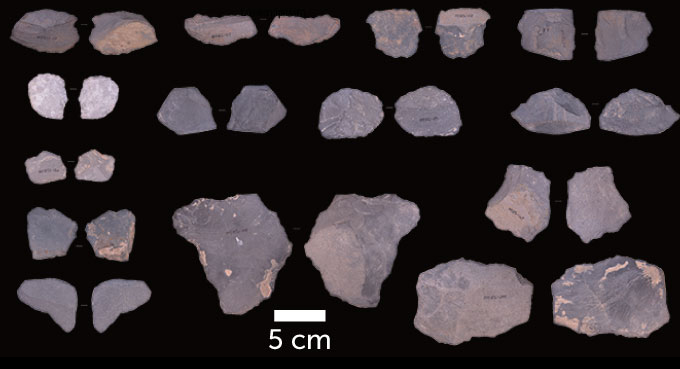 sharp pieces of stone from Baishiya Karst Cave