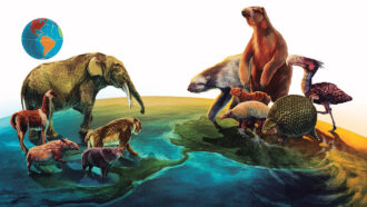 ancient North American and South American animals