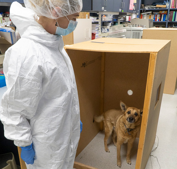 scientist with dog in lab experiment