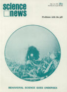 cover of the November 21, 1970 issue