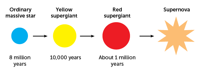 a diagram showing the lifecycle of Betelgeuse